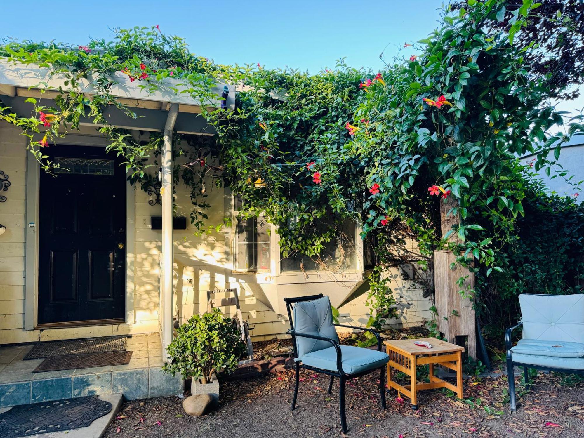 Cozy House Nested Around Trees E São José Exterior foto